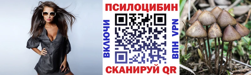 нарко площадка как зайти Дальнереченск Галлюциногенные грибы MAGIC MUSHROOMS kraken ТОР